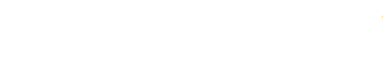 IDM logo