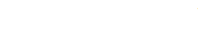 IDM logo