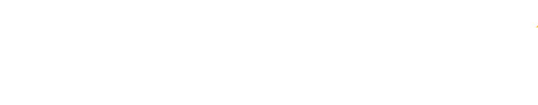 Partner ISV ecosystem logo