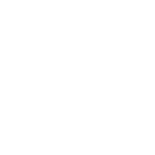 Asset Integrity Risk